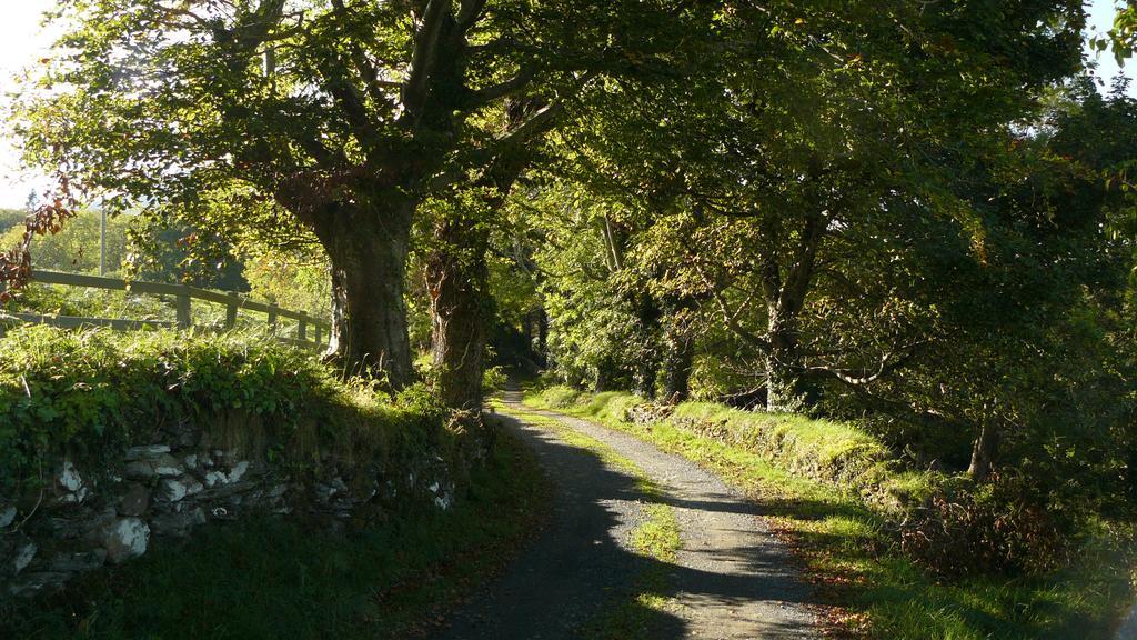 Roberts' Cottage Westport Kültér fotó
